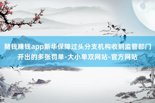 赌钱赚钱app新华保障过头分支机构收到监管部门开出的多张罚单-大小单双网站-官方网站